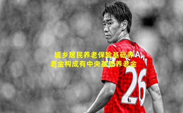 城乡居民养老保险基础养老金构成有中央基础养老金