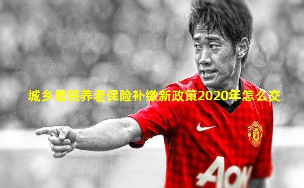 城乡居民养老保险补缴新政策2020年怎么交
