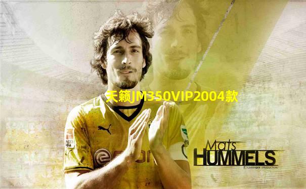天籁JM350VIP2004款