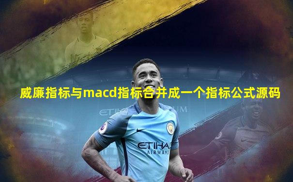 威廉指标与macd指标合并成一个指标公式源码