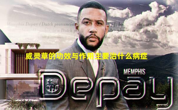 威灵草的功效与作用主要治什么病症