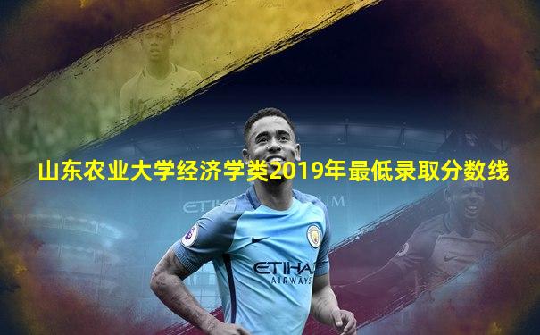 山东农业大学经济学类2019年最低录取分数线