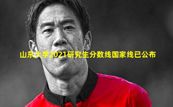 山东大学2021研究生分数线国家线已公布