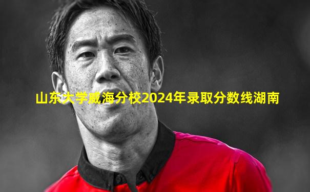 山东大学威海分校2024年录取分数线湖南