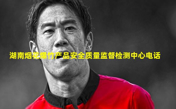 湖南烟花爆竹产品安全质量监督检测中心电话