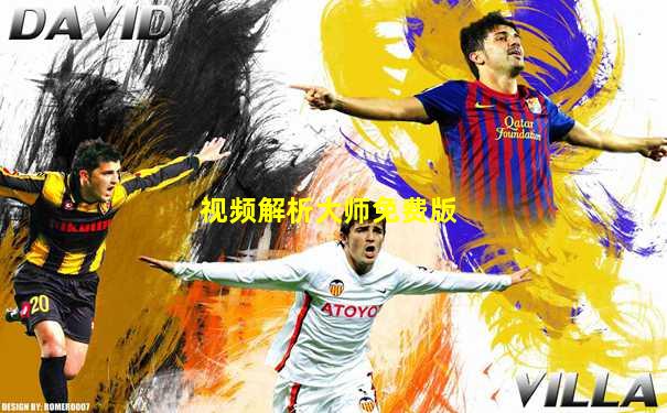 视频解析大师免费版