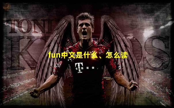 fun中文是什么、怎么读