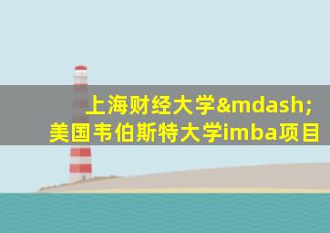 上海财经大学—美国韦伯斯特大学imba项目