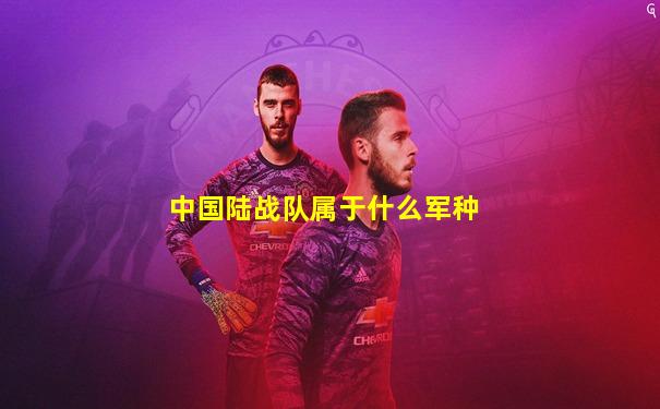 中国陆战队属于什么军种