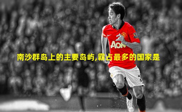 南沙群岛上的主要岛屿,霸占最多的国家是