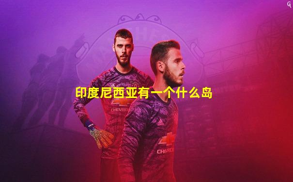 印度尼西亚有一个什么岛