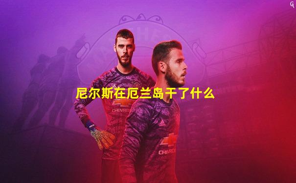尼尔斯在厄兰岛干了什么