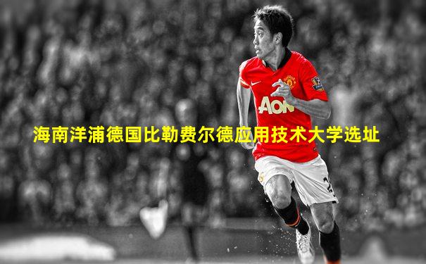 海南洋浦德国比勒费尔德应用技术大学选址