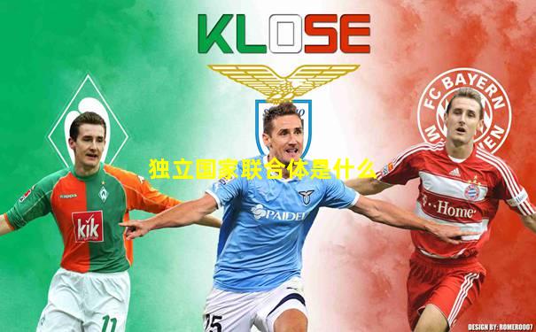 独立国家联合体是什么