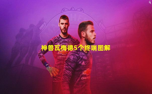 神兽瓦梅德5个终端图解