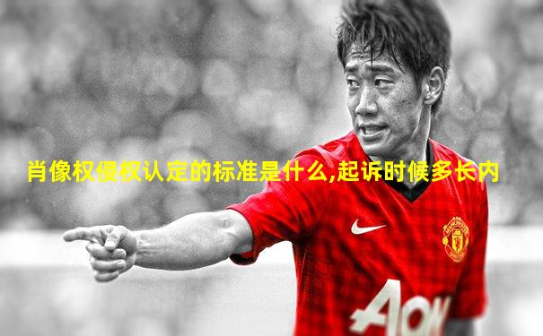 肖像权侵权认定的标准是什么,起诉时候多长内
