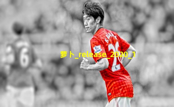 萝卜_release_2020_1