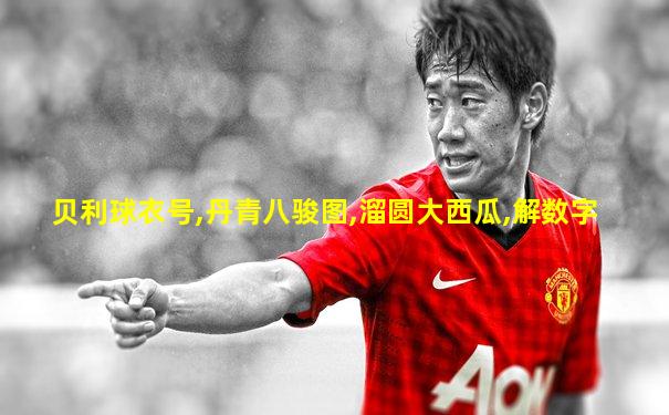 贝利球衣号,丹青八骏图,溜圆大西瓜,解数字