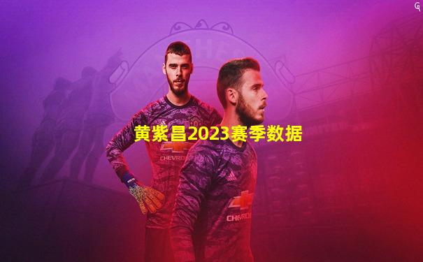 黄紫昌2023赛季数据